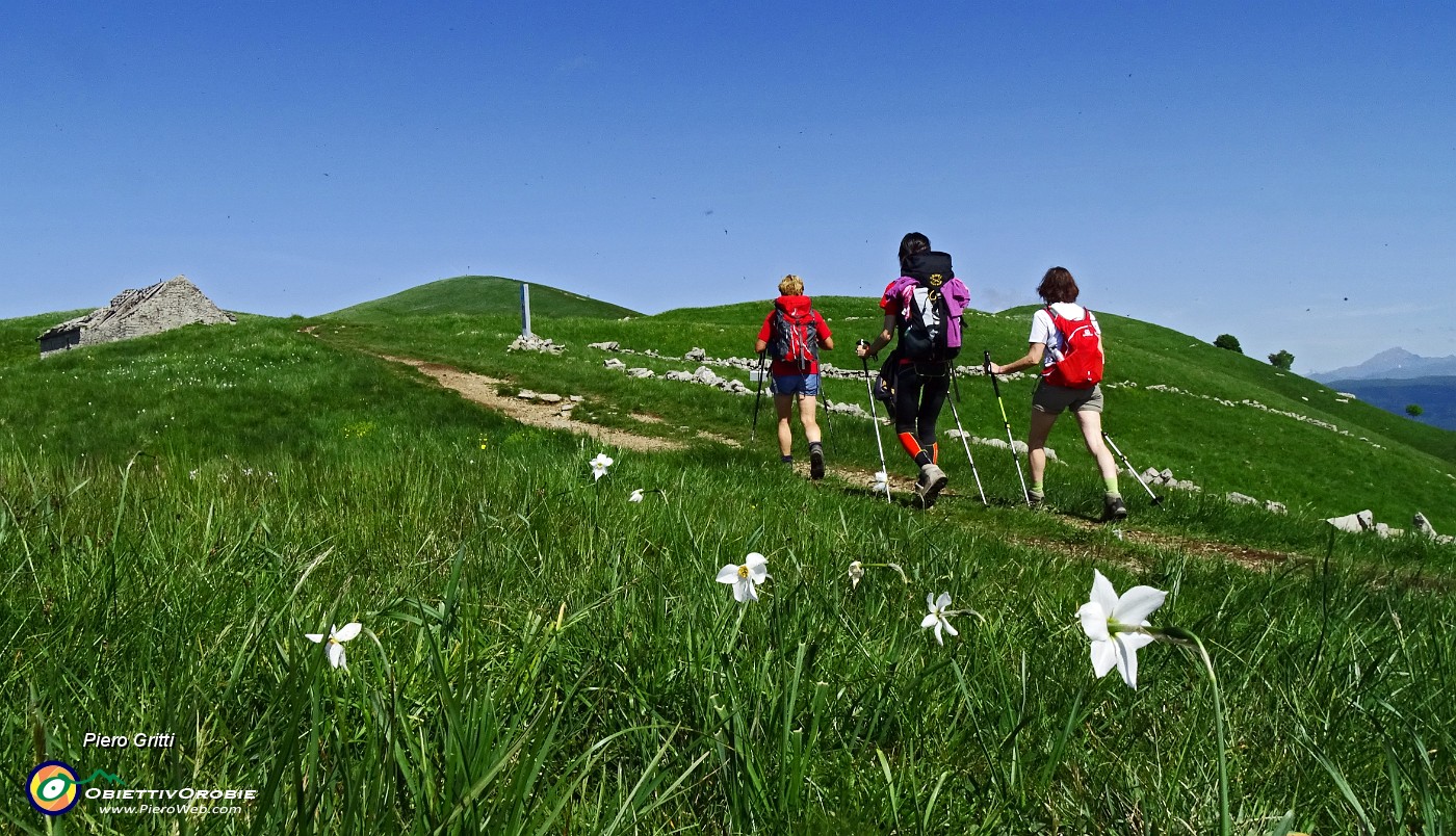 25 Salendo i dossi del Linzone.JPG -                                